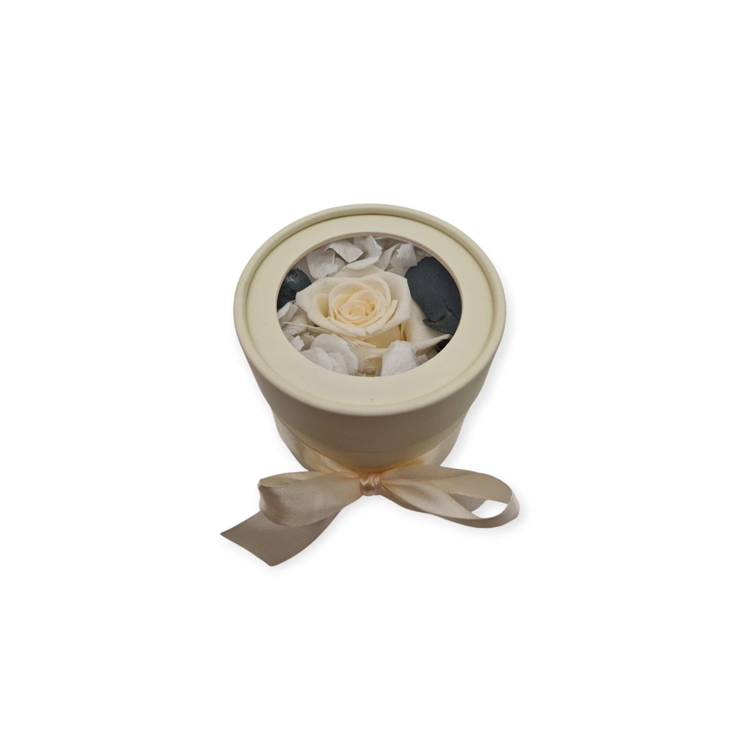 Beige Blume Dream Box Small
