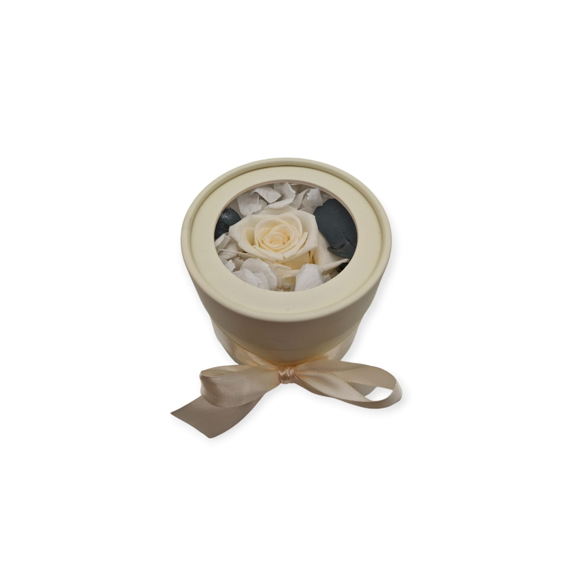 Beige Blume Dream Box Small