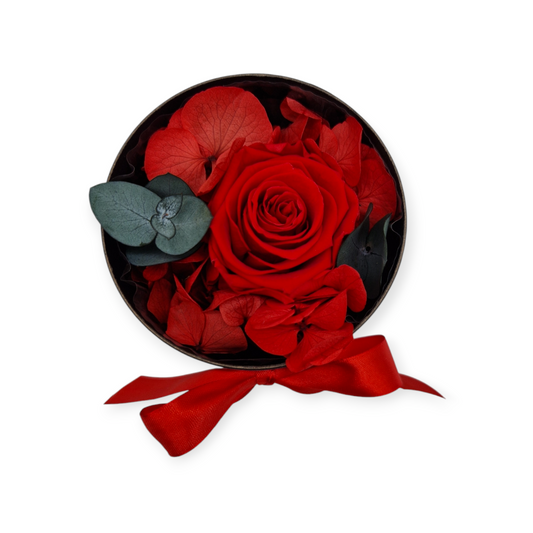 Scarlet Elegance Box Small