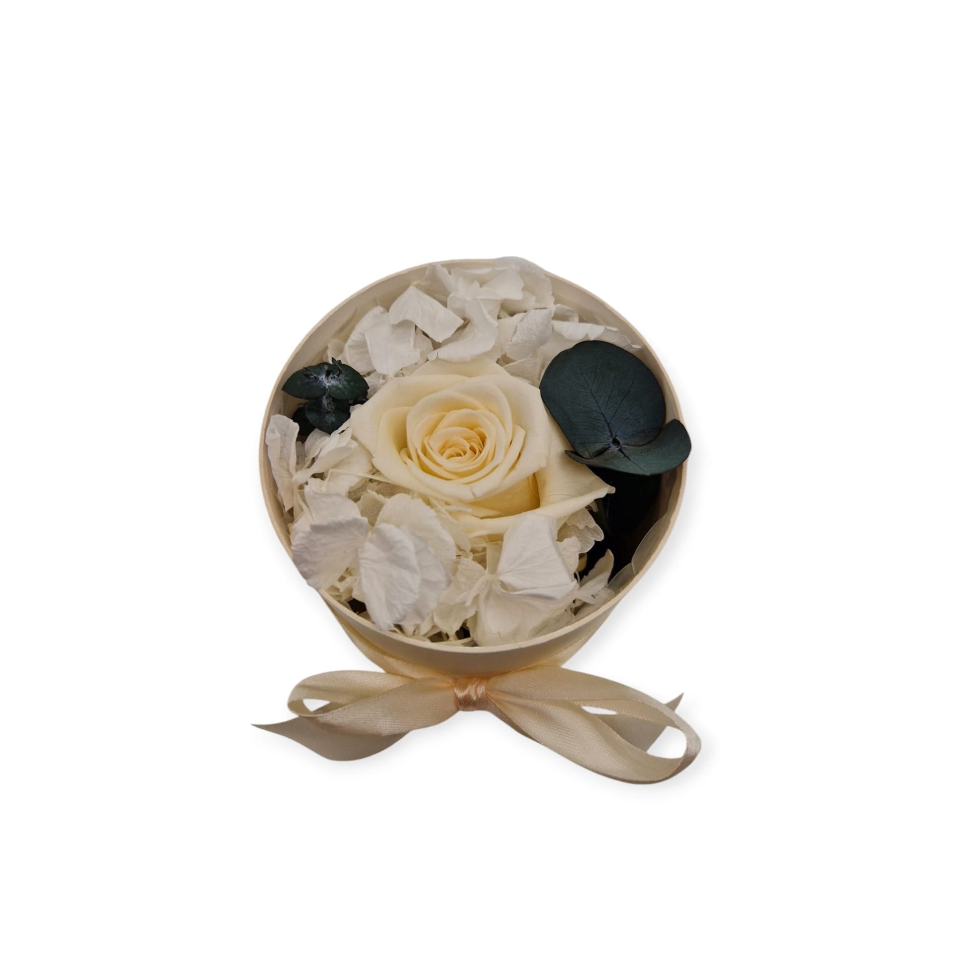 Beige Dream Box Small - NICA FLORA