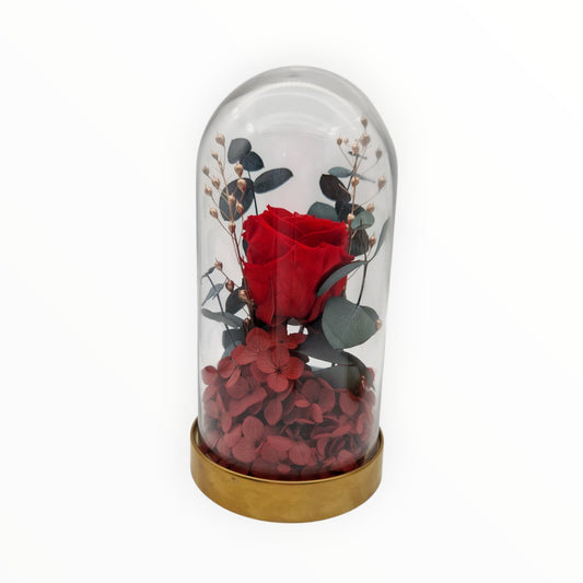 Everlasting Red Love Glass Dome - NICA FLORA