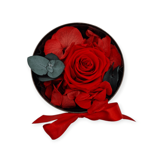 Scarlet Elegance Box Small - NICA FLORA